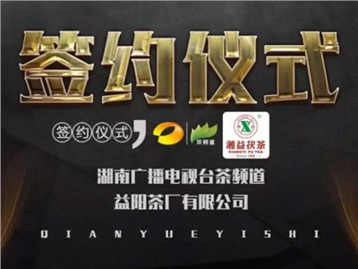 湘益茯，美茗揚 丨湘益茯茶與茶頻道達(dá)成長期戰(zhàn)略合作